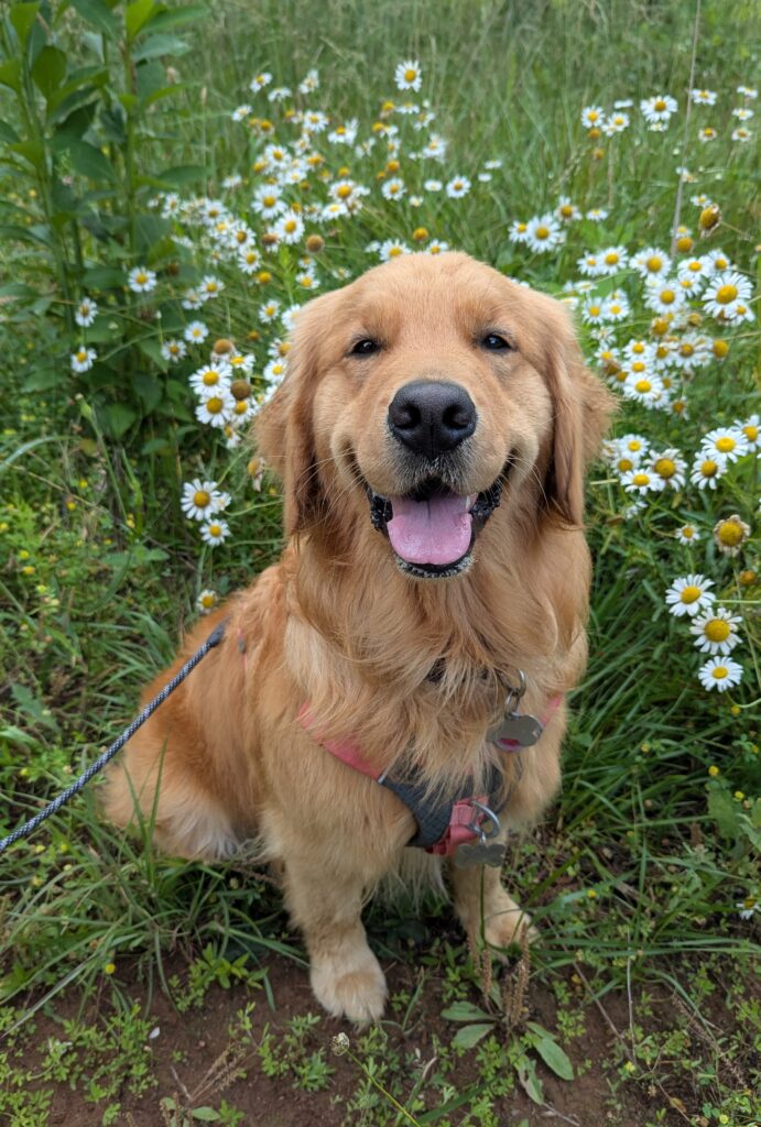 Charlie Flowers