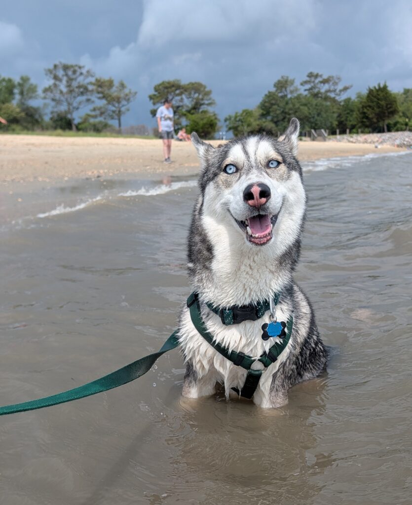 Obi Beach