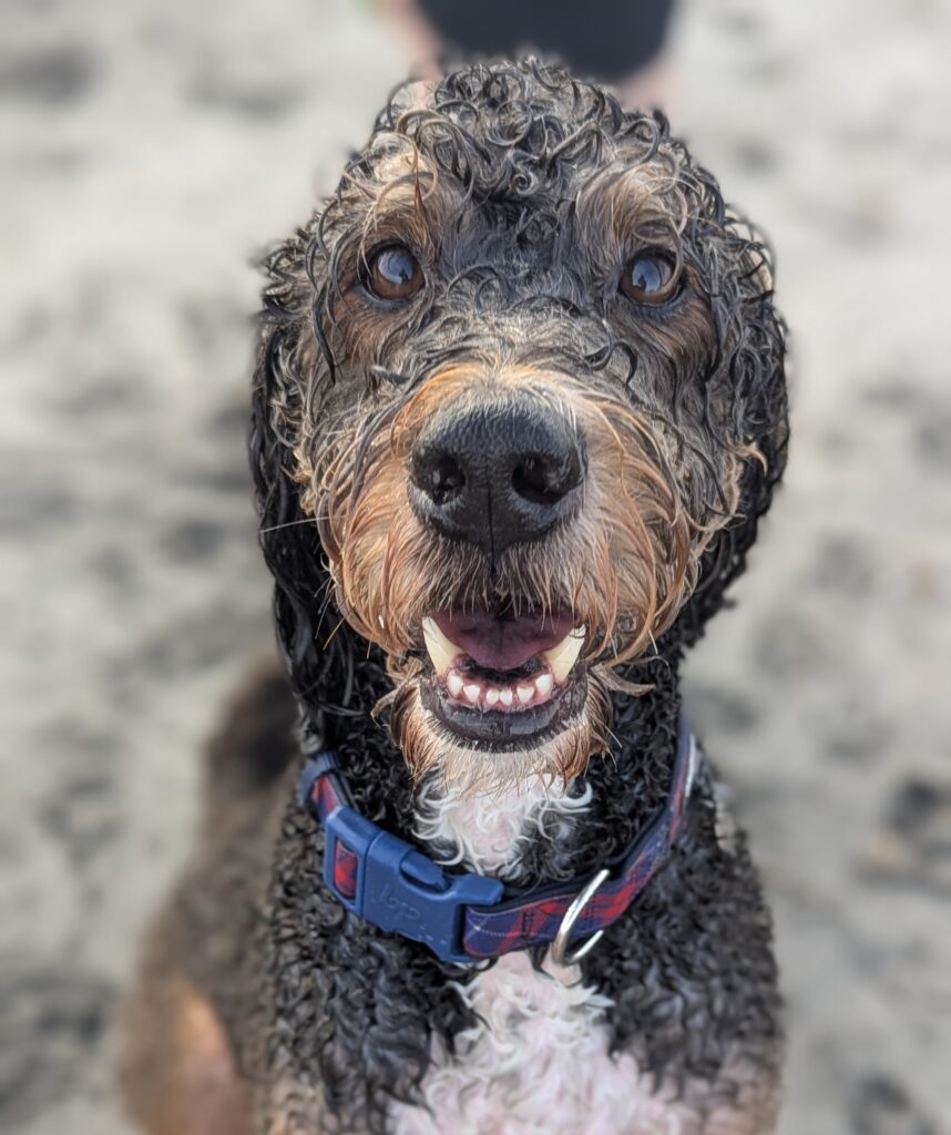 Sampson beach